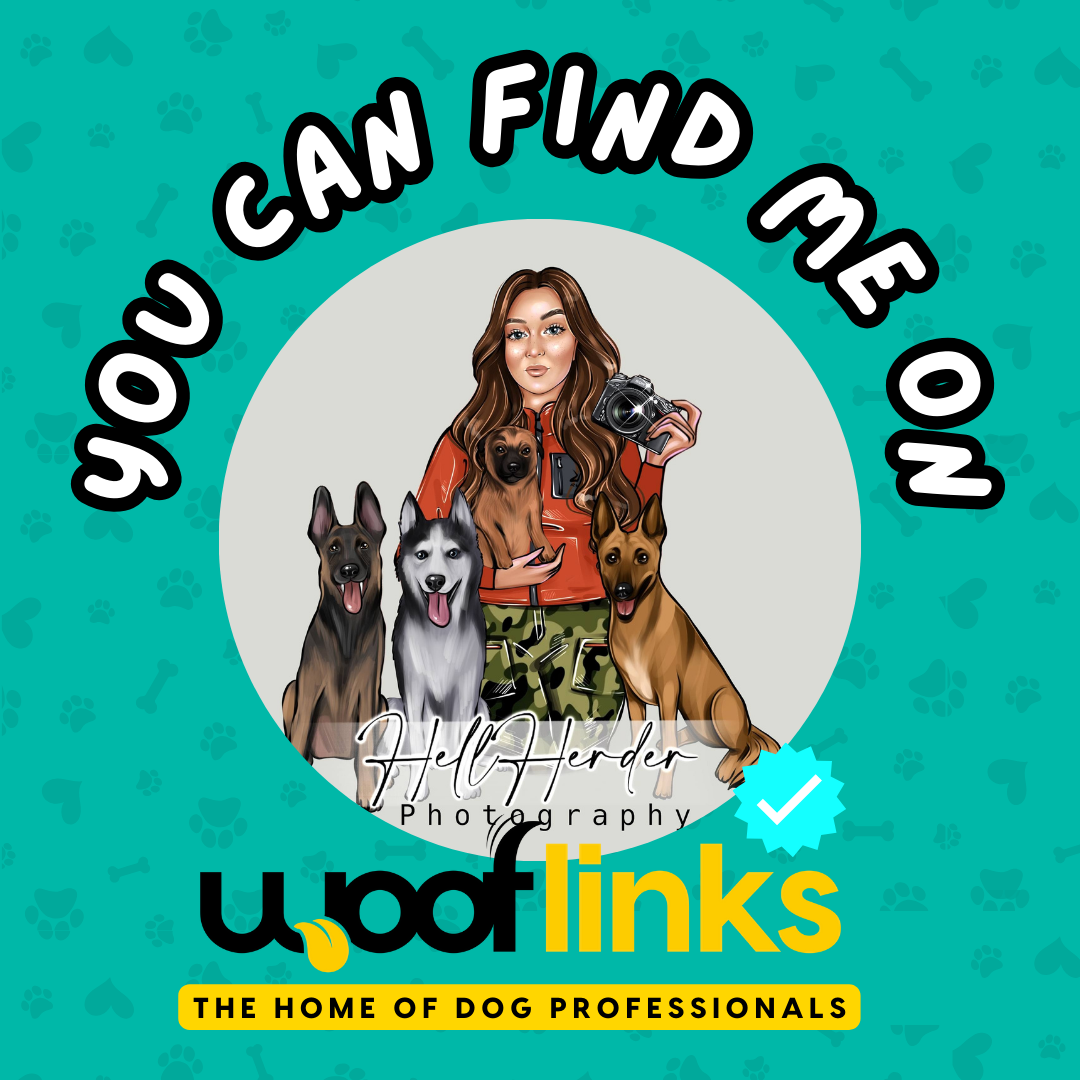 Professional dog photography business logo featuring silhouettes of different dog breeds on a turquoise background.