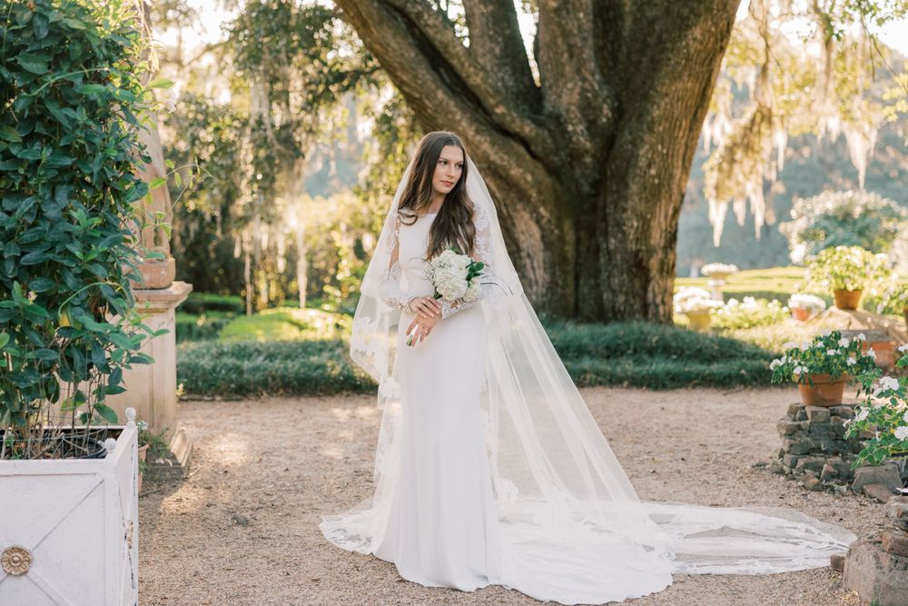 Bride in classic white gown poses beneath sprawling oak tree branches.