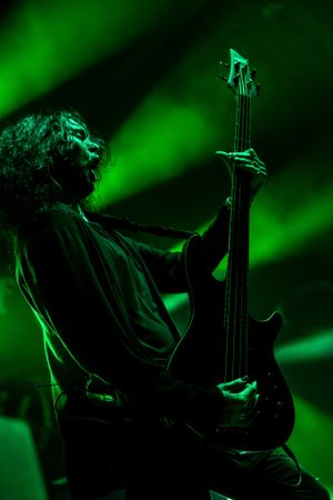 Silhouetted bassist performs against dramatic green stage lighting.