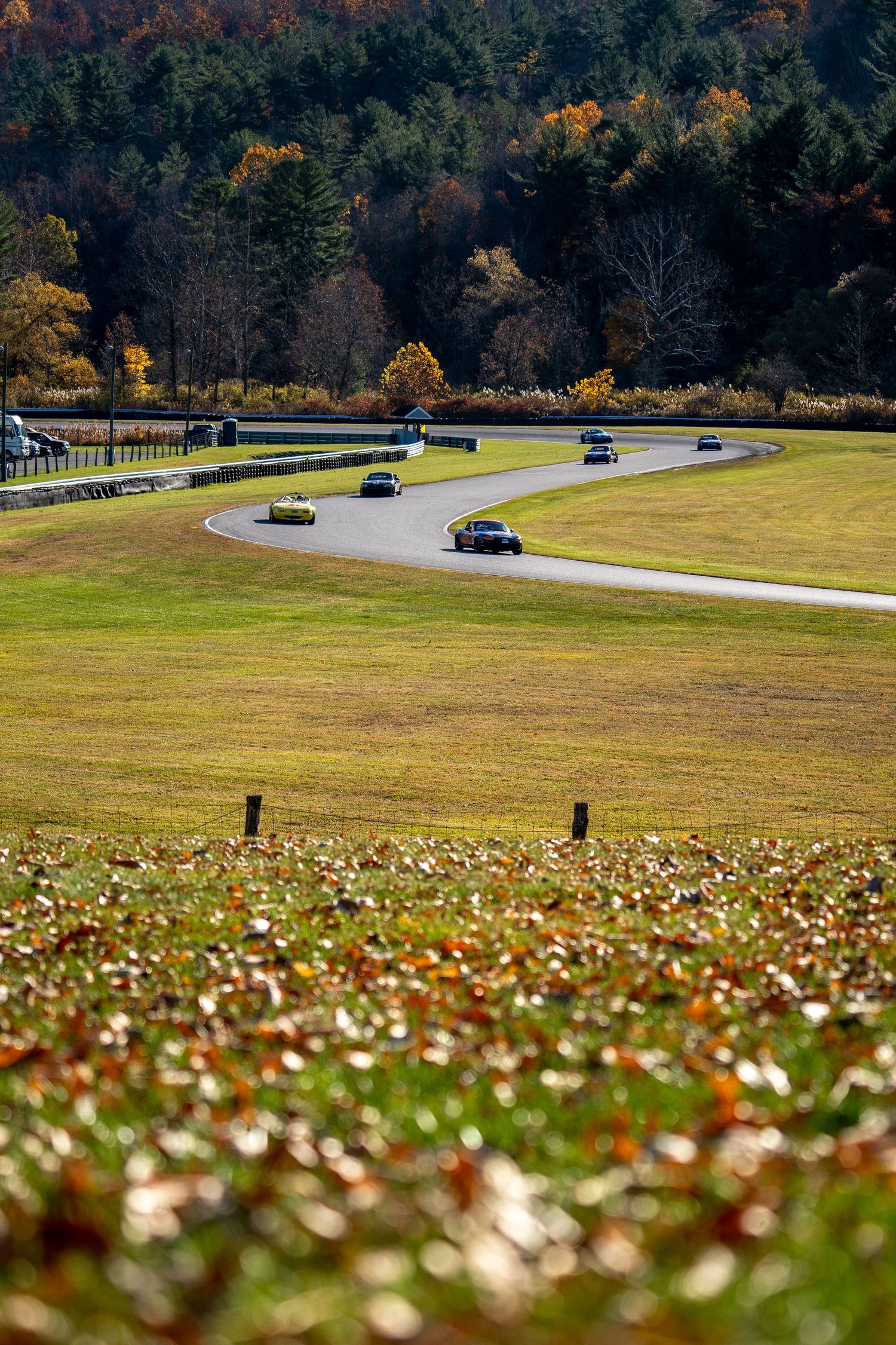 "Trackside moments captured in motion—authentic race day photography with pit lane energy and raw motorsport emotion."