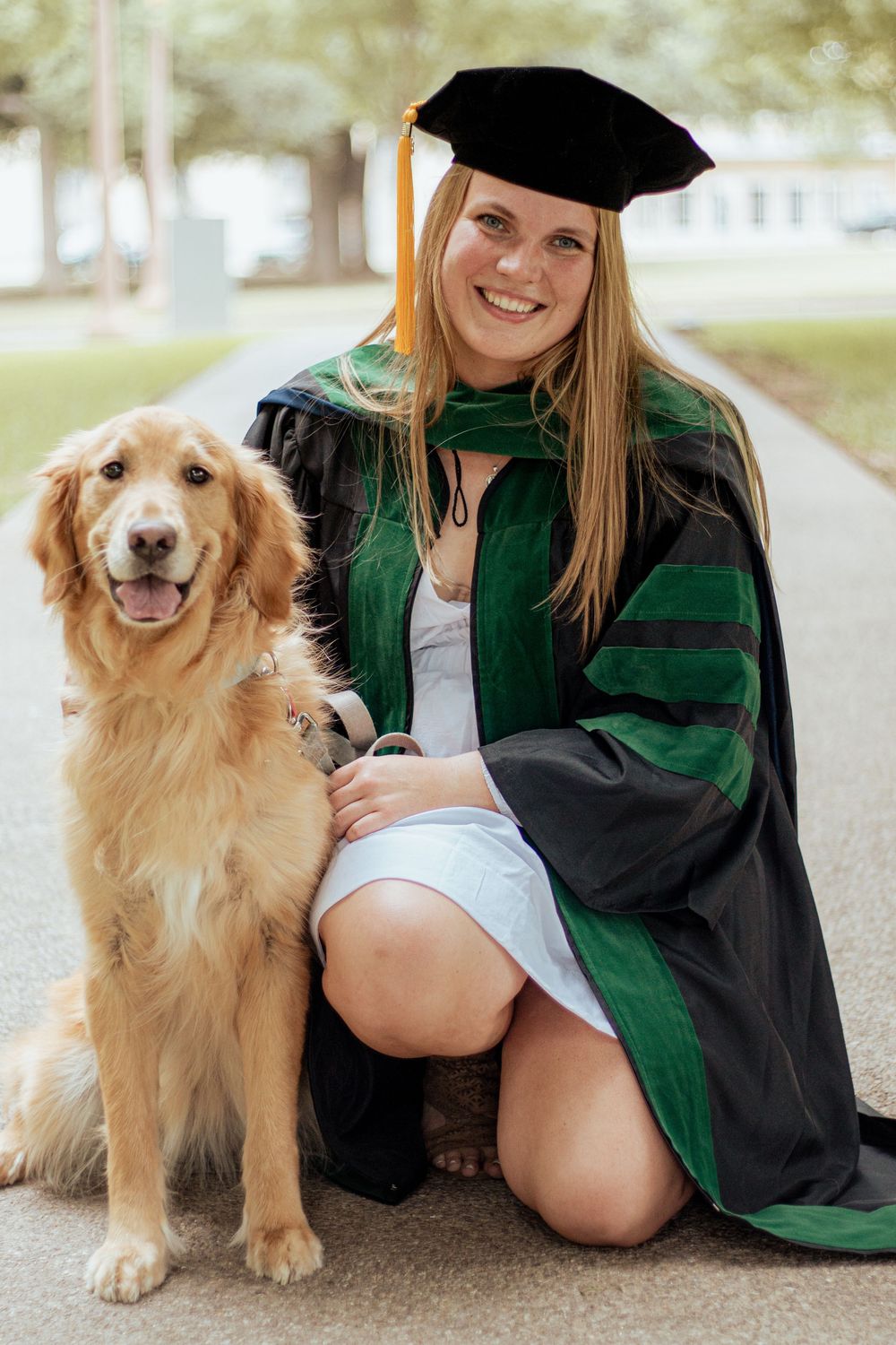 A graduation photo featuring a Golden Retriever dog sitting alongside someone in academic regalia with green and black robes.