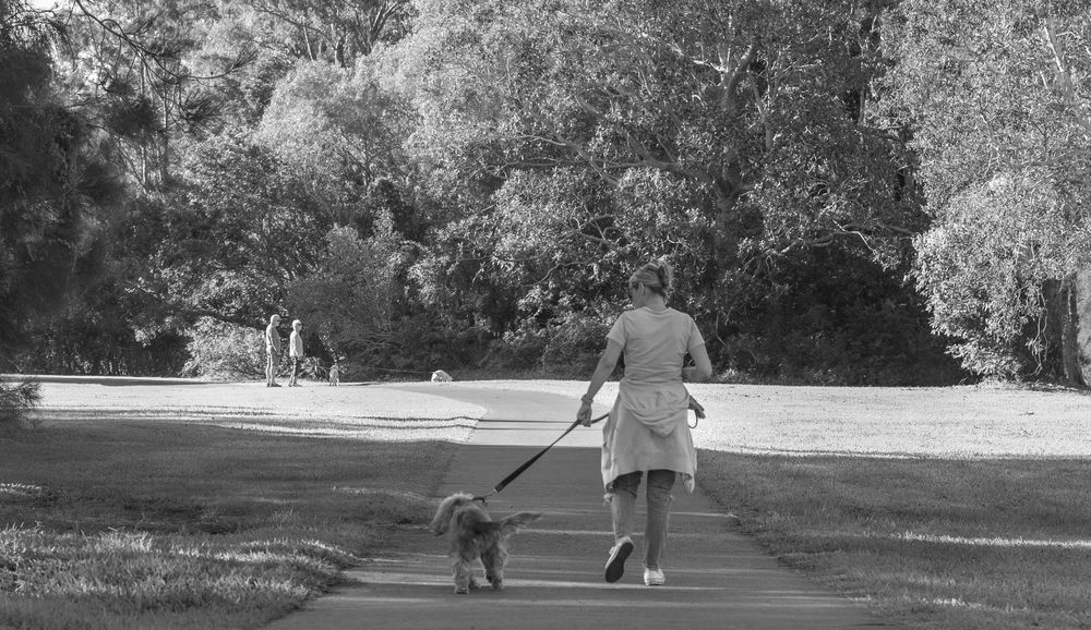 Seven black and white historical photographs show scenes of people walking and strolling in a park setting.