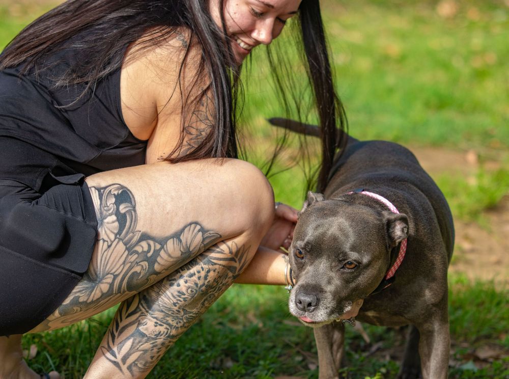 A person with leg tattoos kneels next to a dark-colored pit bull type dog in a grassy outdoor setting.
