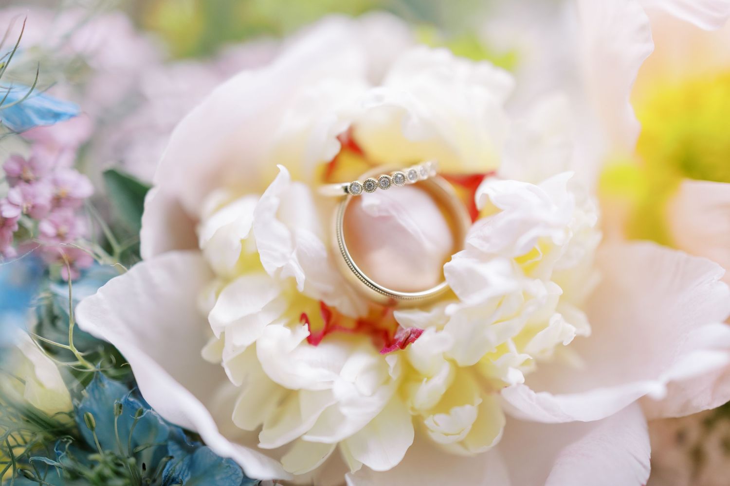Gold wedding rings nestled on white peony petals in soft natural light, surrounded by delicate floral arrangements.
