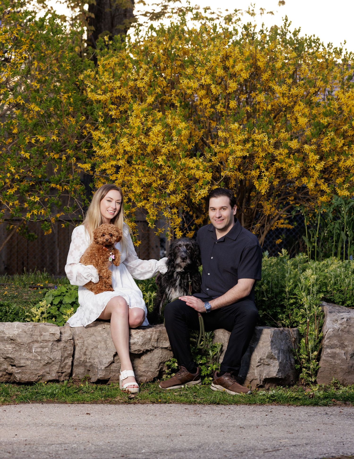 Two people sitting on stone wall with pets outdoors against yellow flowering bushes in garden setting.