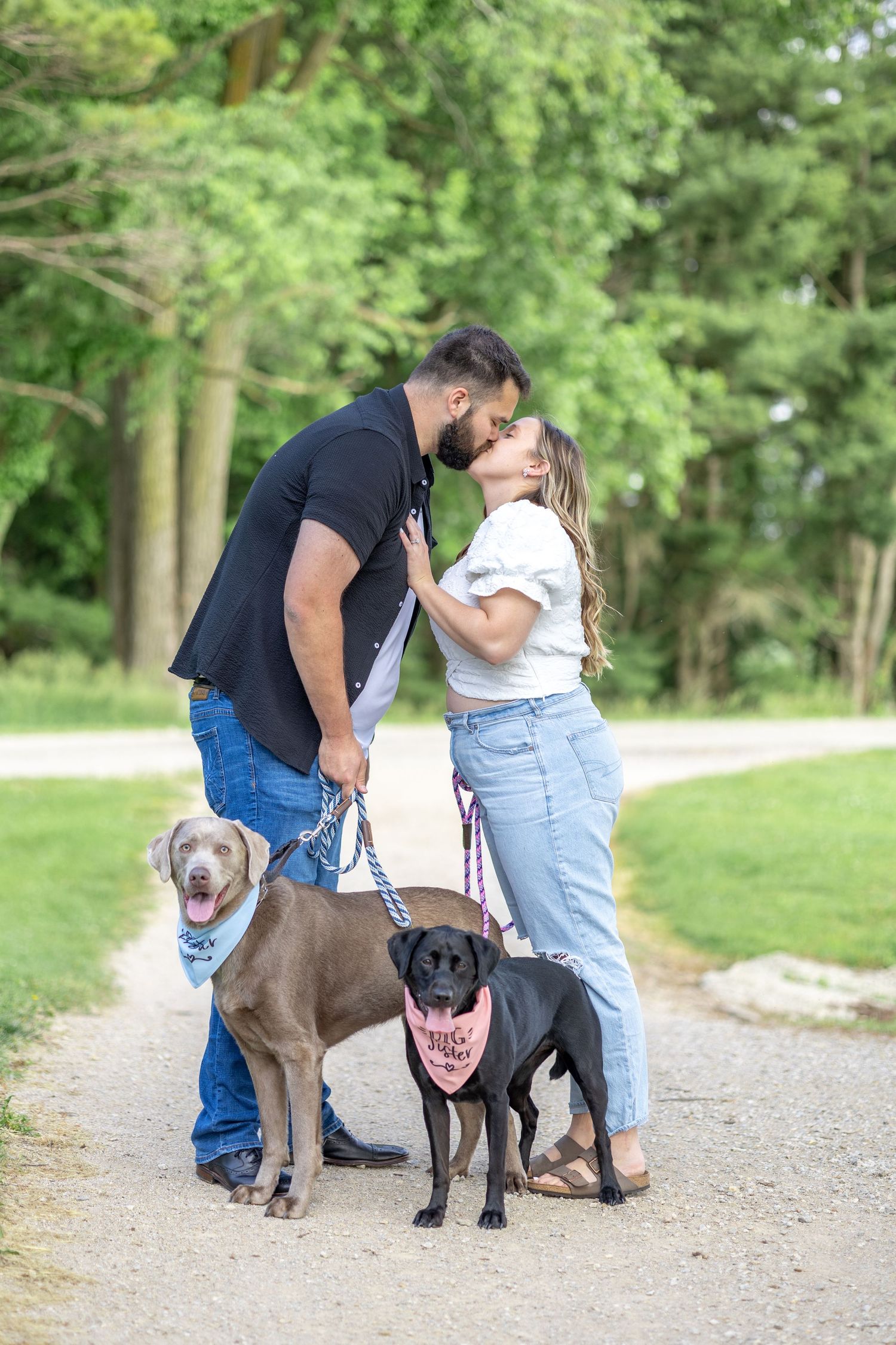 Springfield, IL photographer captures a couple kissing with their dogs smiling at the camera during a session in Central, IL