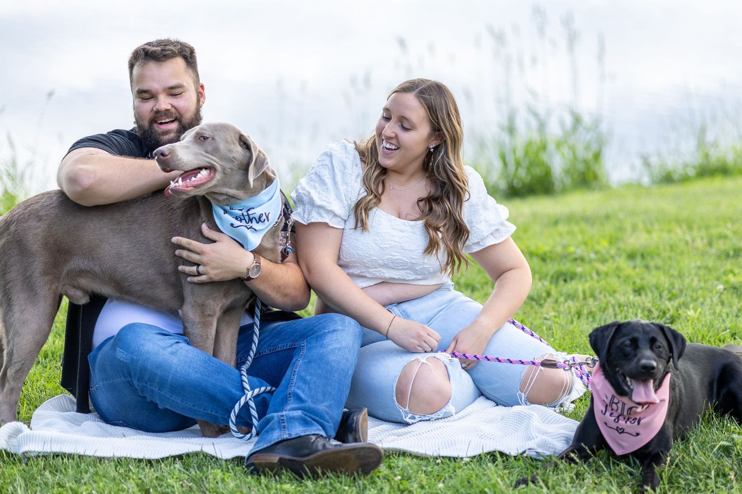Springfield, IL photographer captures a couple playing with their dogs during a session in Central IL
