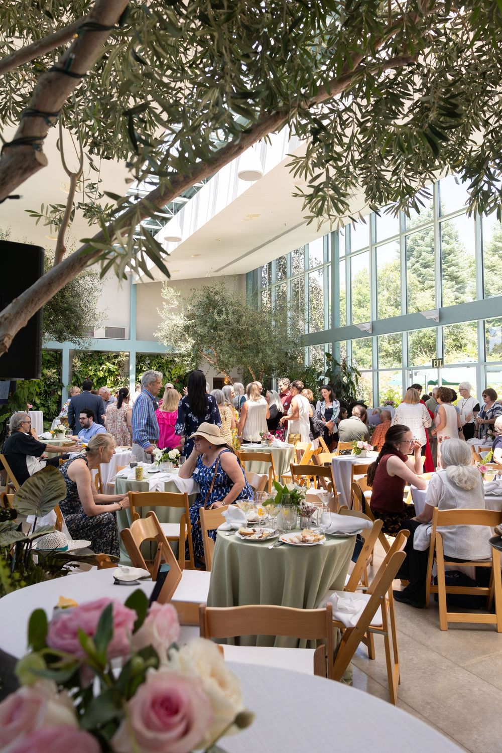 Elegant indoor reception with round tables, wooden chairs and natural light streaming through glass windows under olive trees at Red Butte.
