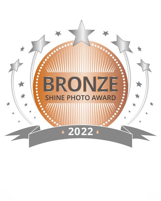 badge for the bronze shine photo award
