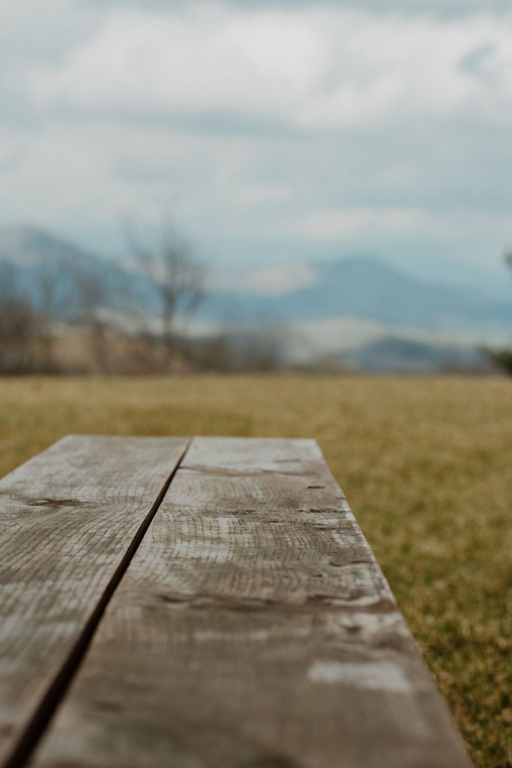 A rustic wooden bench overlooks misty mountains in the distance on an overcast day at the wedding reception.