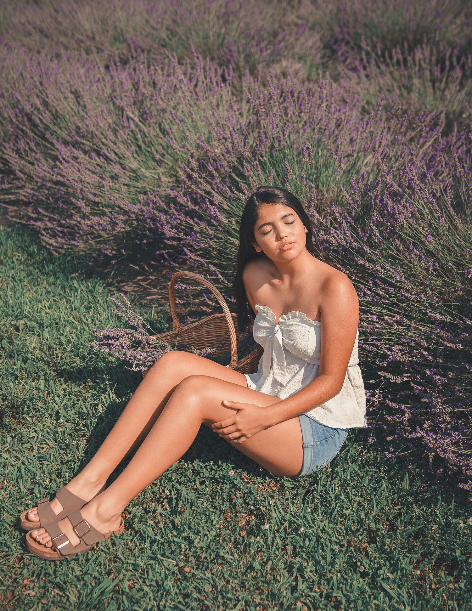 Lavander field pictures