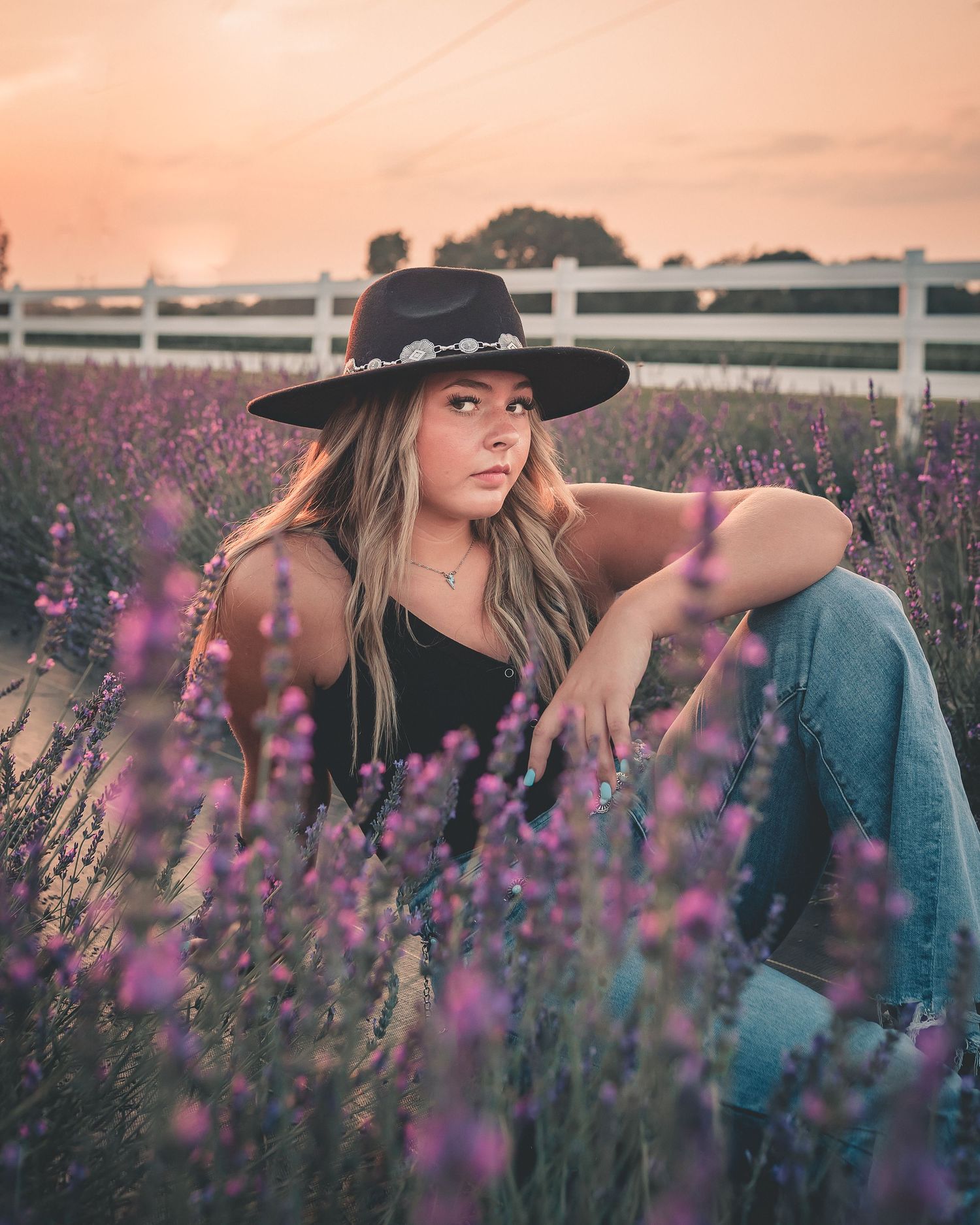 Lavender pictures