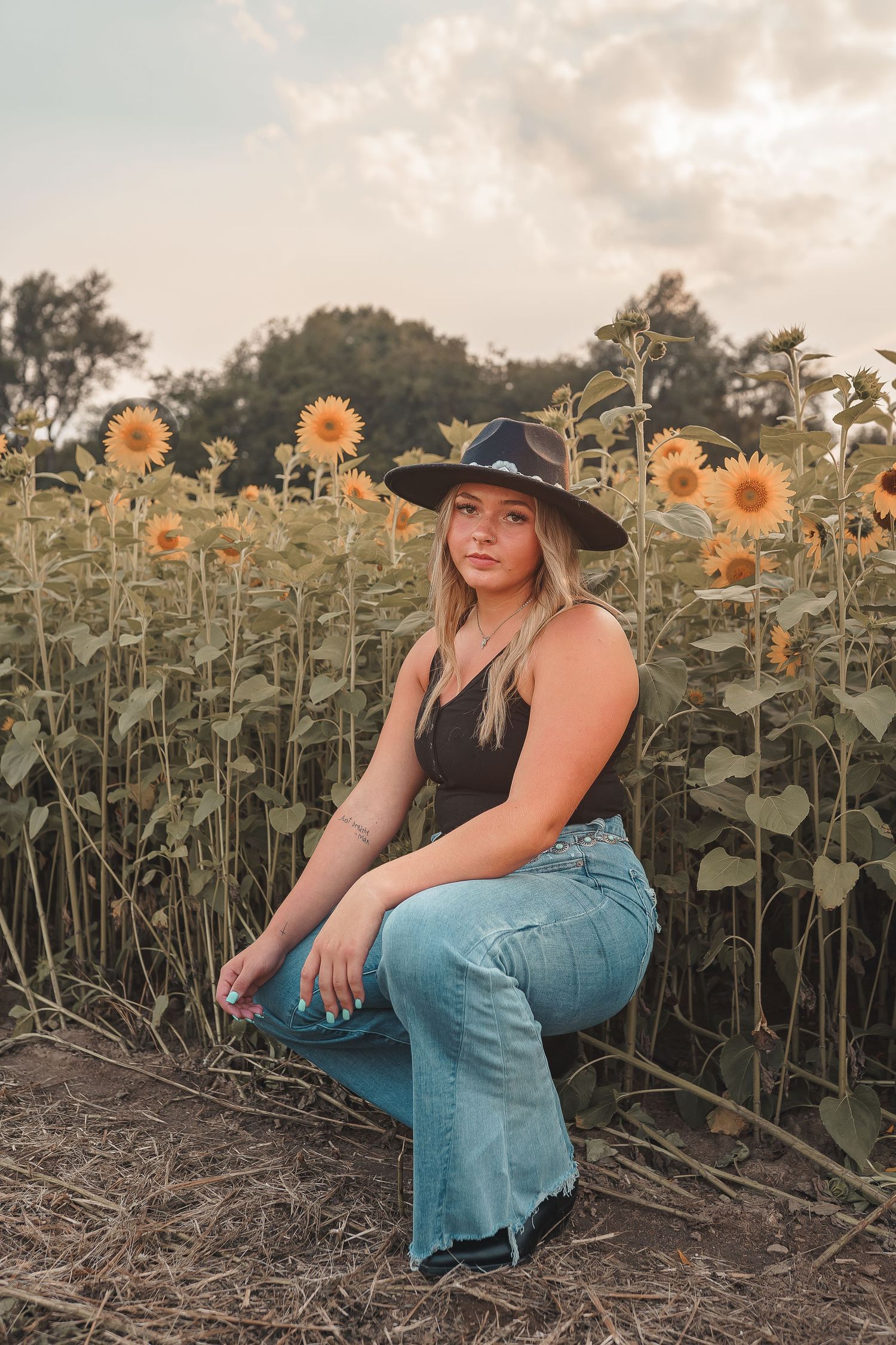Sunflower pictures