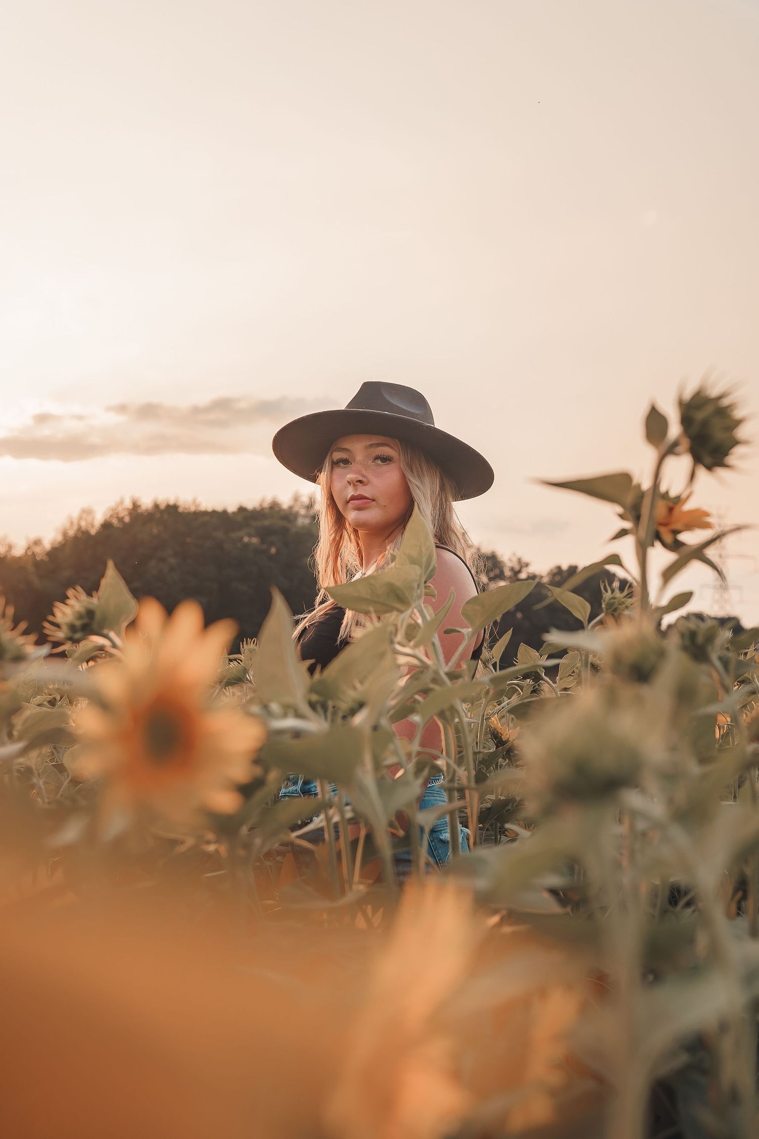 Sunflower photoshoot