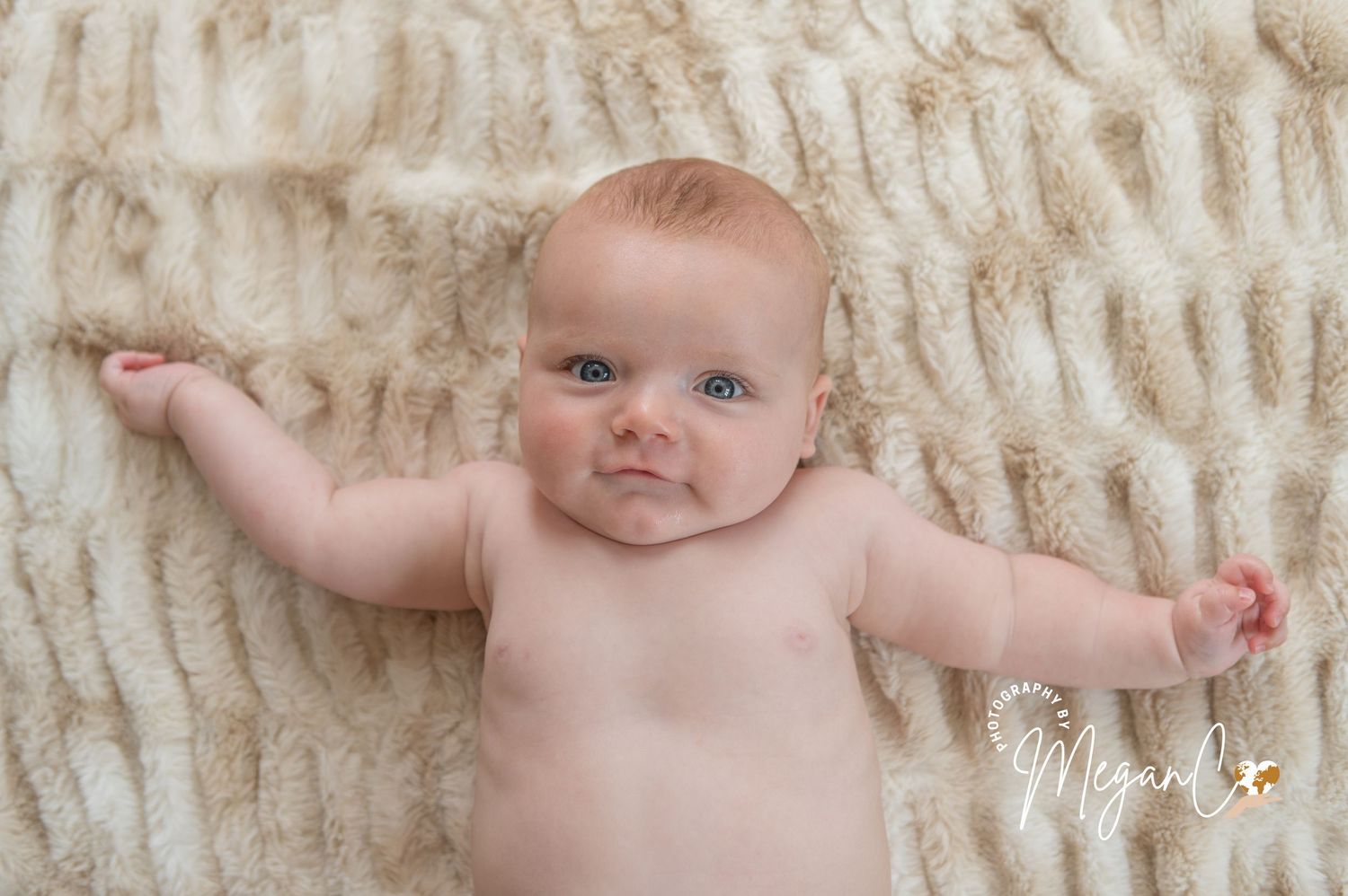 milestone photographs document each stage of baby in the first year