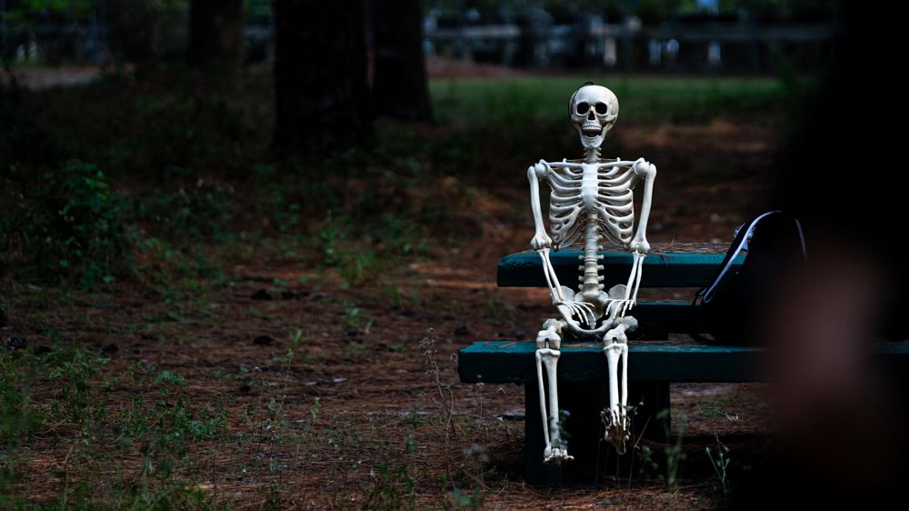 A plastic skeleton decoration sits alone on a park bench in an eerie outdoor setting.
