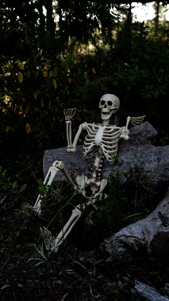 A sequence of plastic skeleton decorations posed on rocks in a dark outdoor setting creates a spooky Halloween scene.