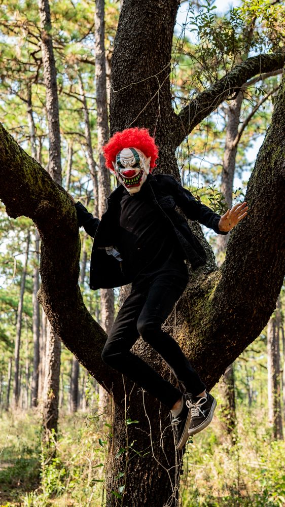 A person in a black outfit and red hat climbs a forked tree trunk in a sunlit forest setting.