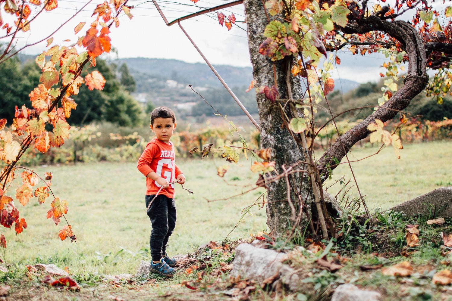 iana Morais Fotografia, fotografia de família, sessão fotográfica, arcos de Valdevez, ponte de lima, Viana do Castelo,
