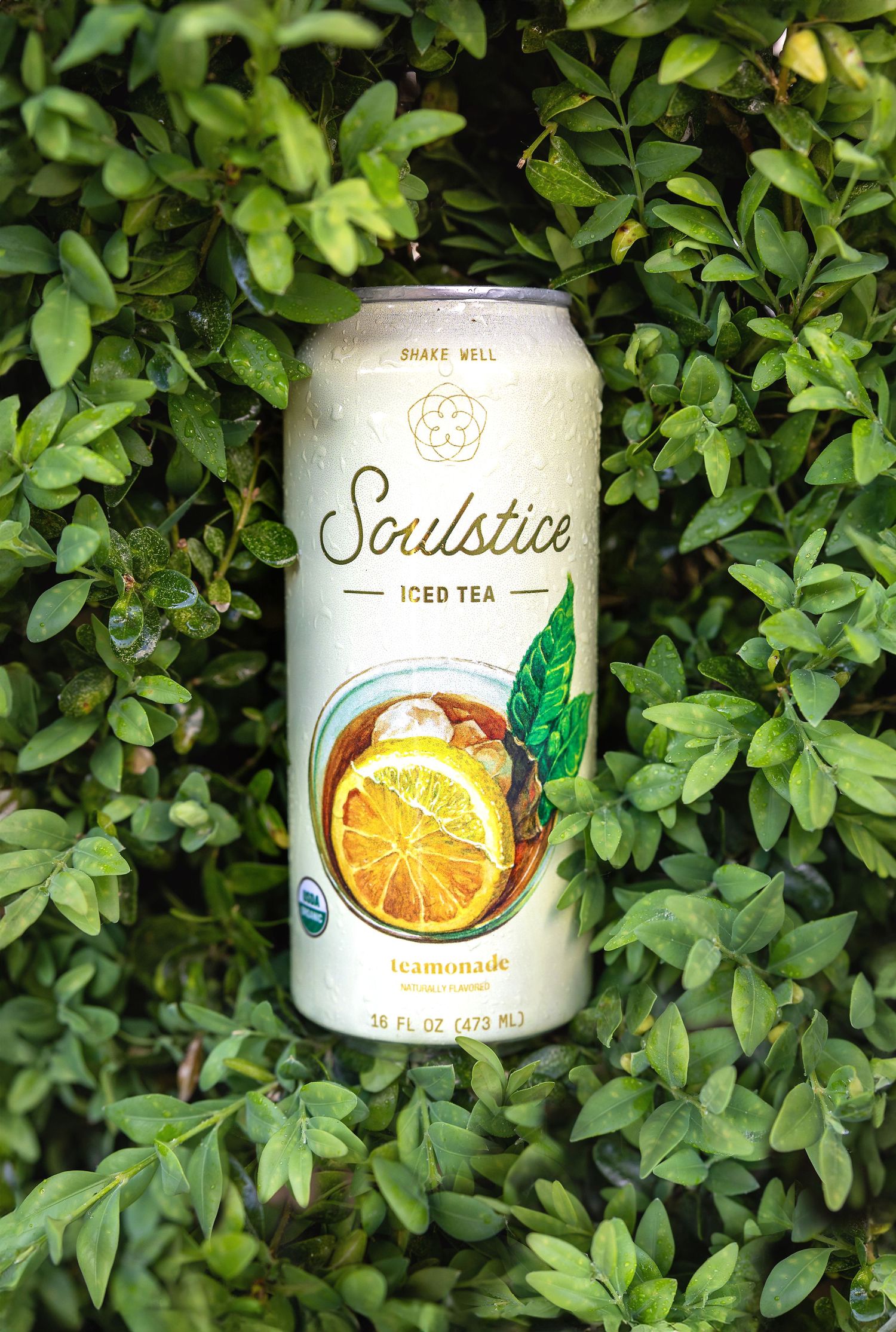 Soulstice organic iced tea lemonade can resting in lush green foliage outdoors.