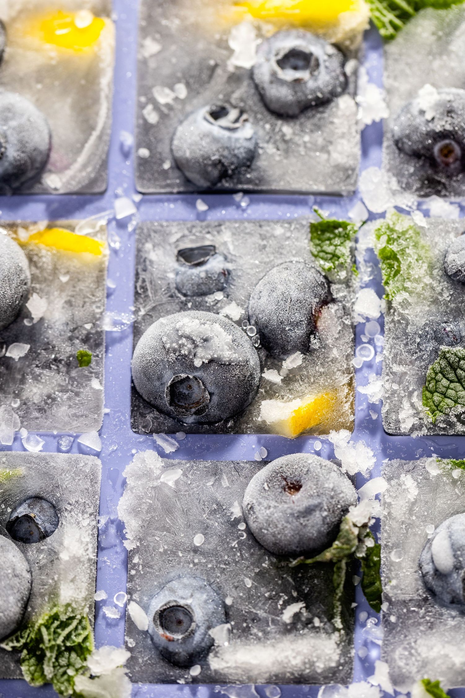 Blueberries, lemon slices, and mint leaves frozen in ice cube trays on a blue surface.