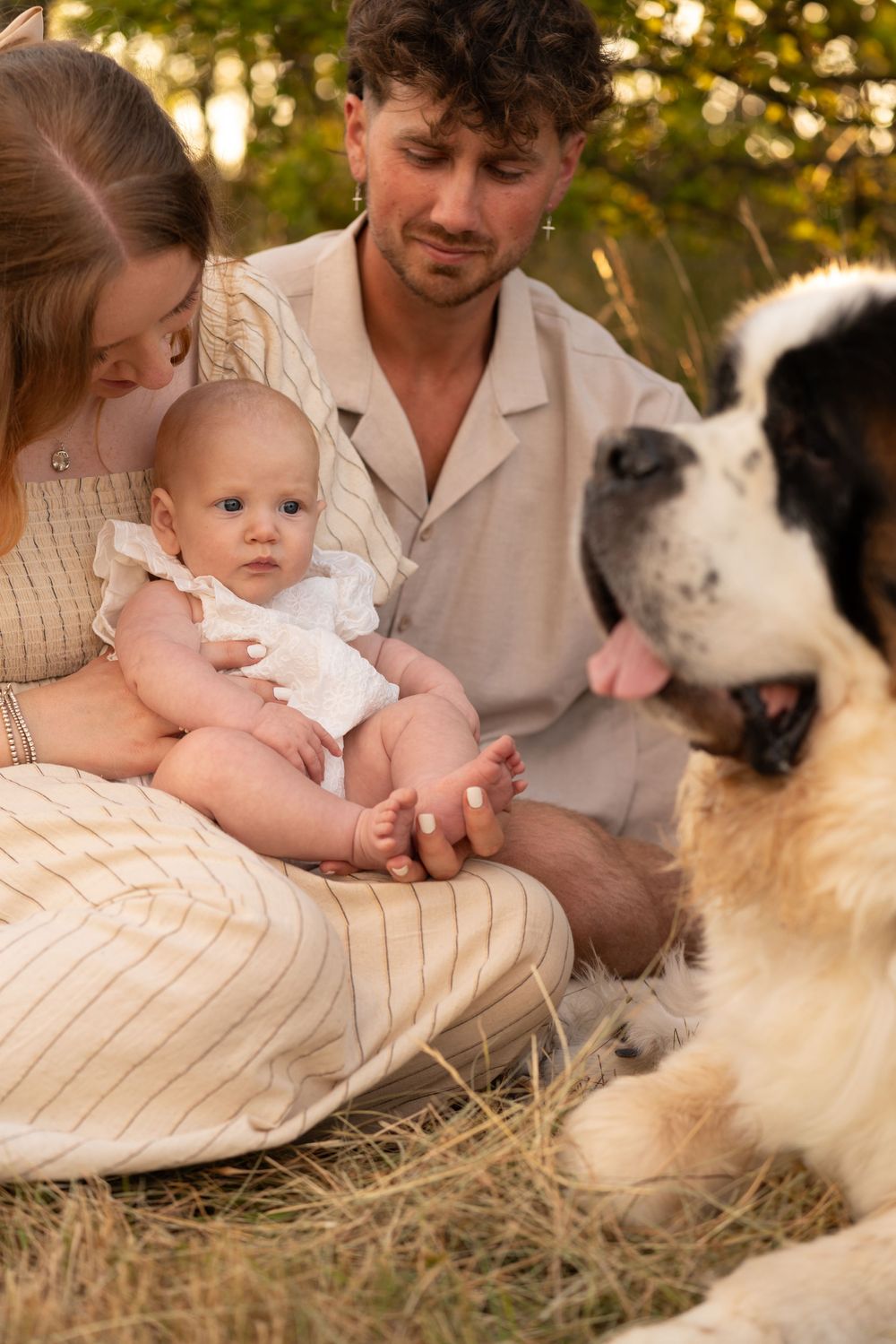 Young family with baby and large St. Bernard dog sitting together outdoors on grass in warm golden light.
