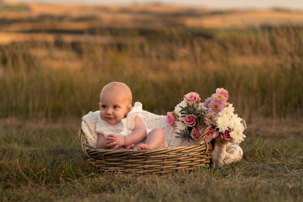 A baby in a white lace outfit sits in a wicker basket with pink flowers in a golden field at sunset.