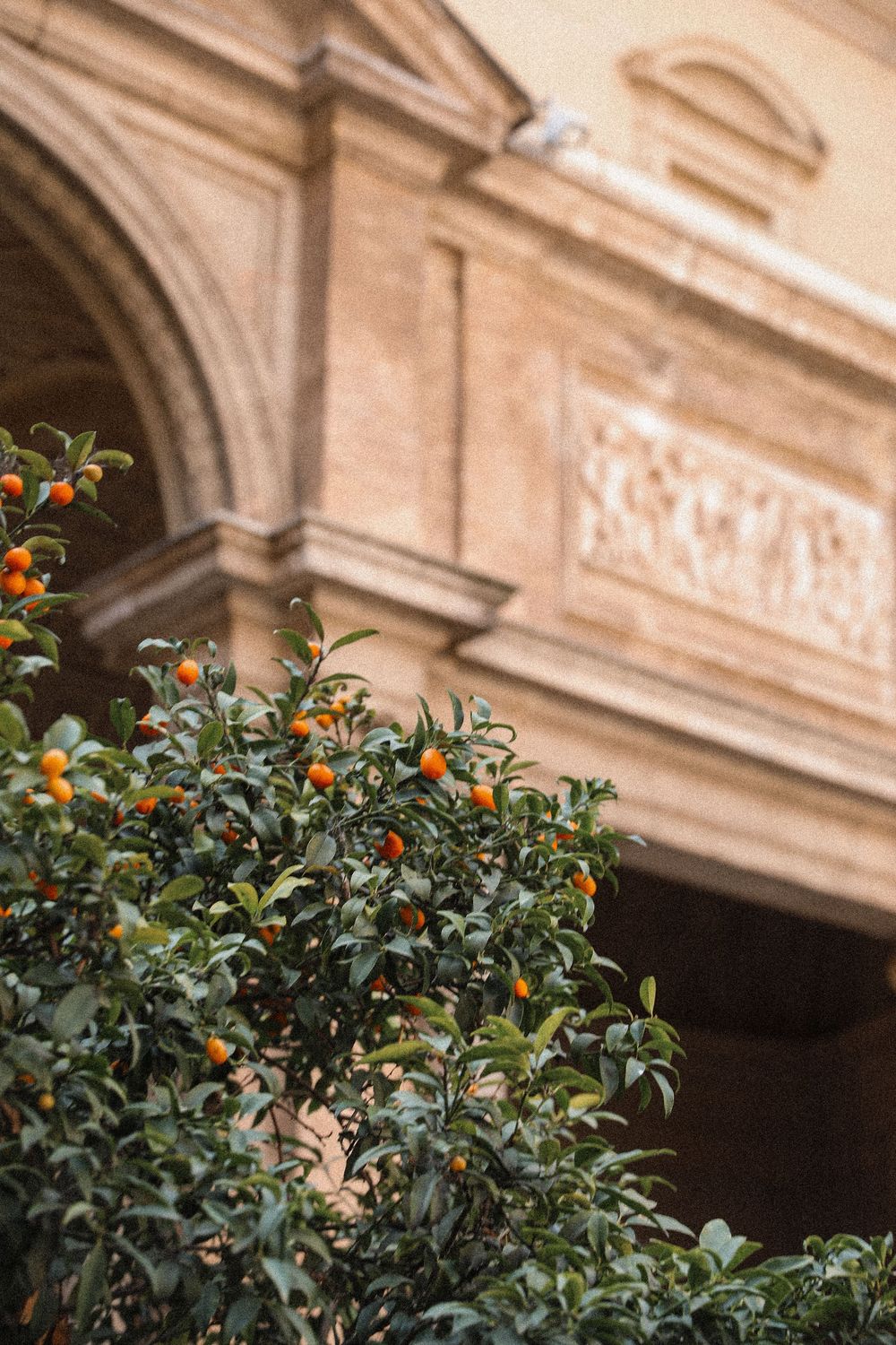 Orange kumquat tree with ripe fruit in front of ornate beige stone building with decorative arch and carved details.