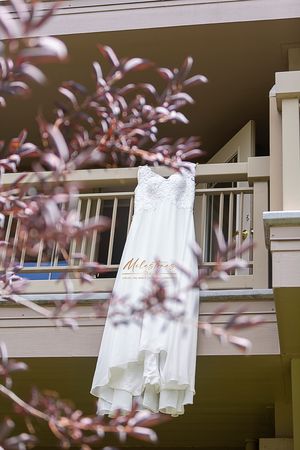 Boise Idaho elopement, boise river, eagle Idaho, Milestones Studios LLC