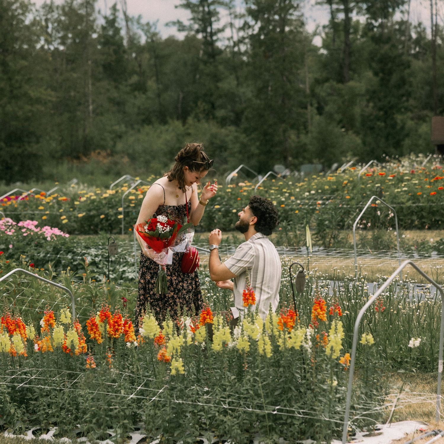 Man proposing to woman in a colorful flower garden, holding red bouquet, surrounded by lush blooms and green trees.