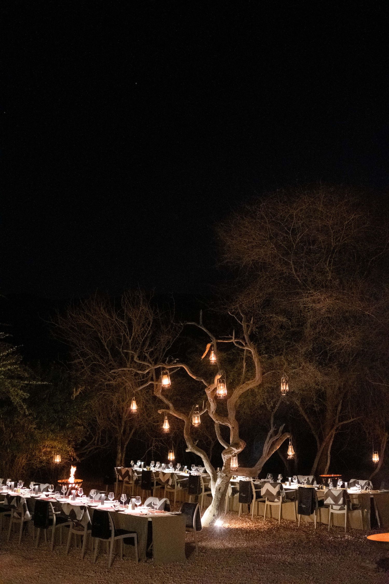 Modern glass pavilion restaurant nestled beneath sprawling oak tree branches in a lush garden setting.