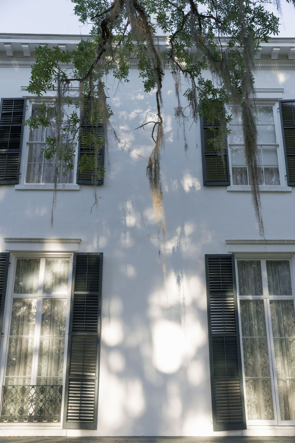 Historic white Southern mansion facade with black shutters and Spanish moss draped tree casting shadows.