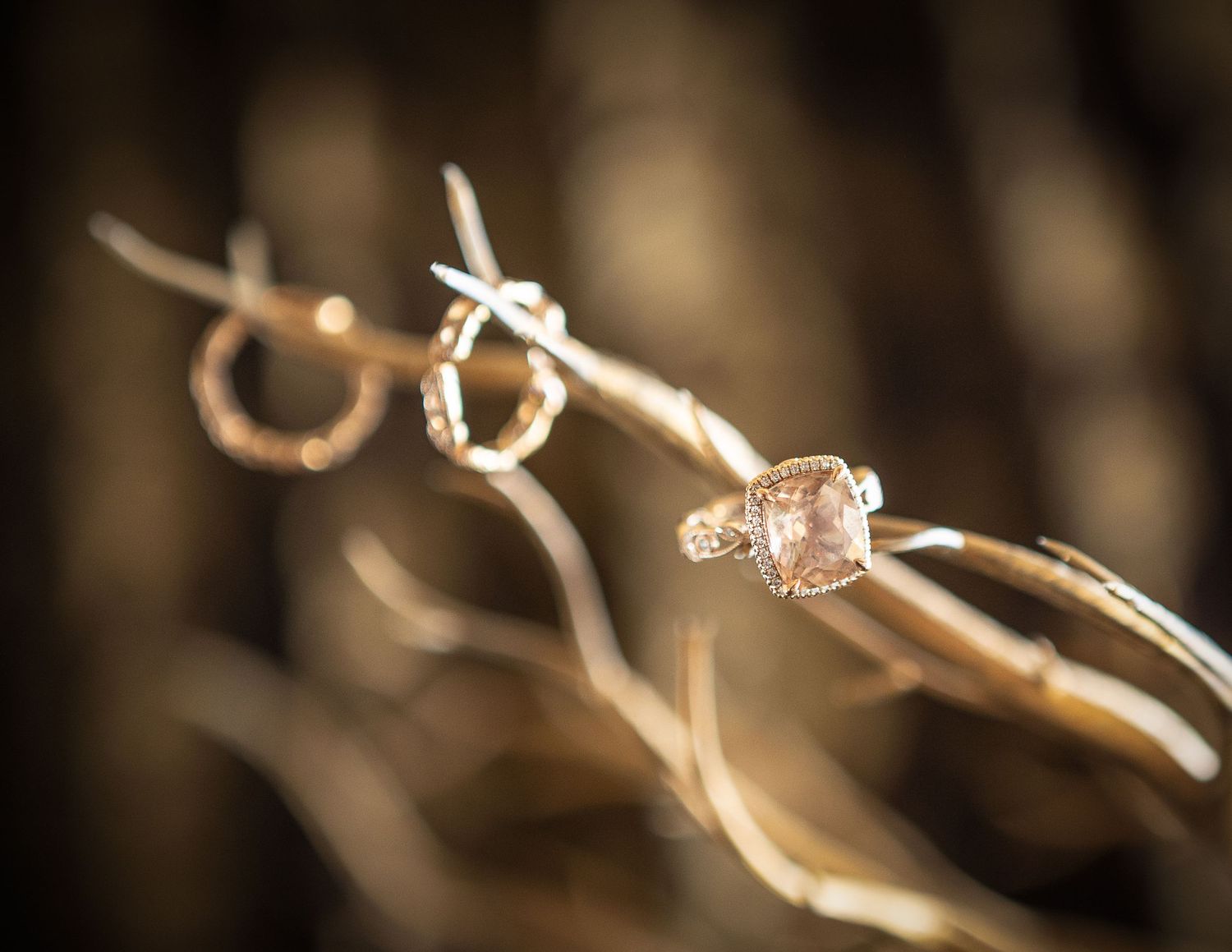 Rose gold engagement ring with pink cushion-cut stone displayed on rustic branches with matching hoop earrings in soft bokeh.
