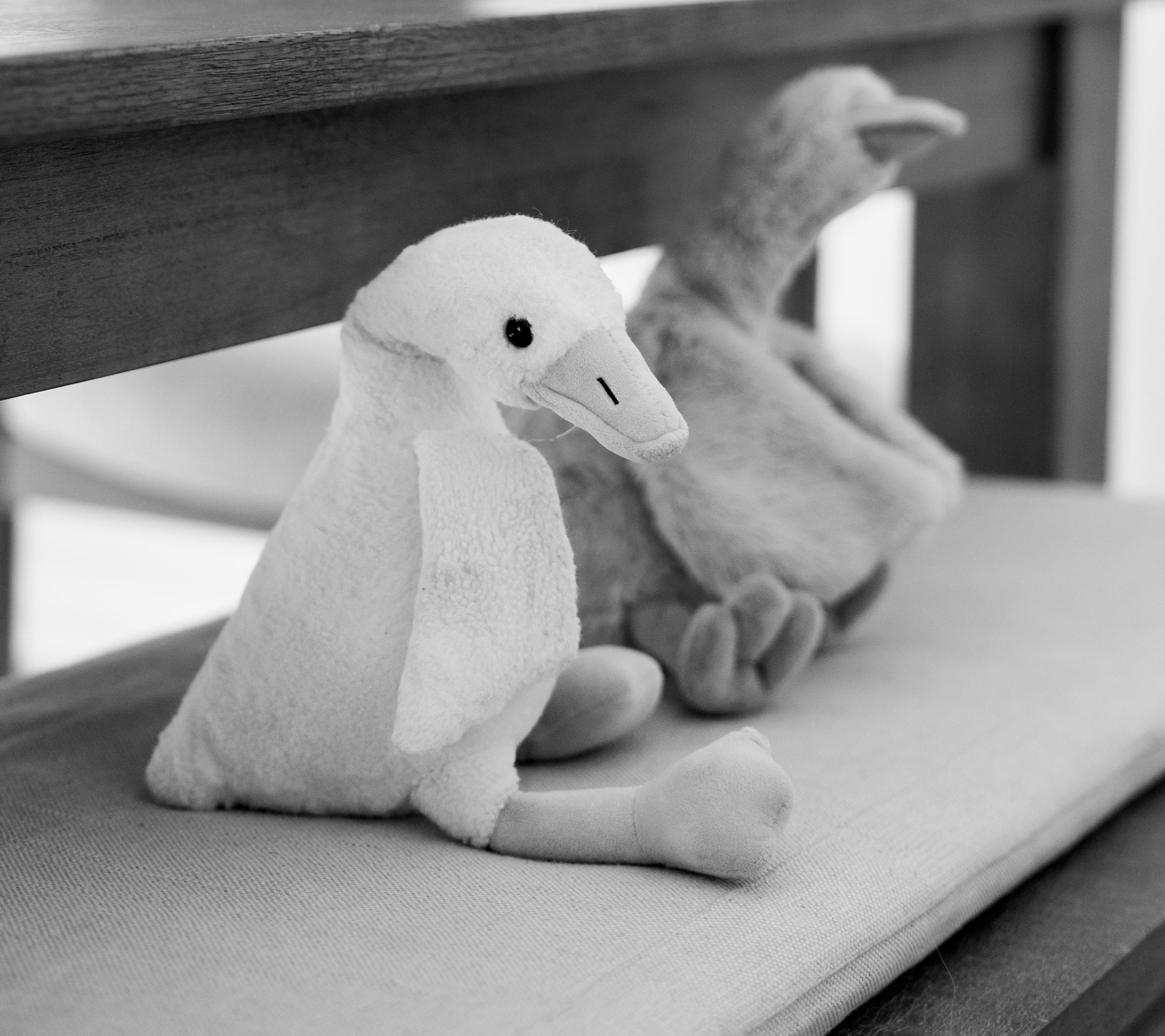 Two plush duck stuffed animals sitting on a shelf in a black and white photo.