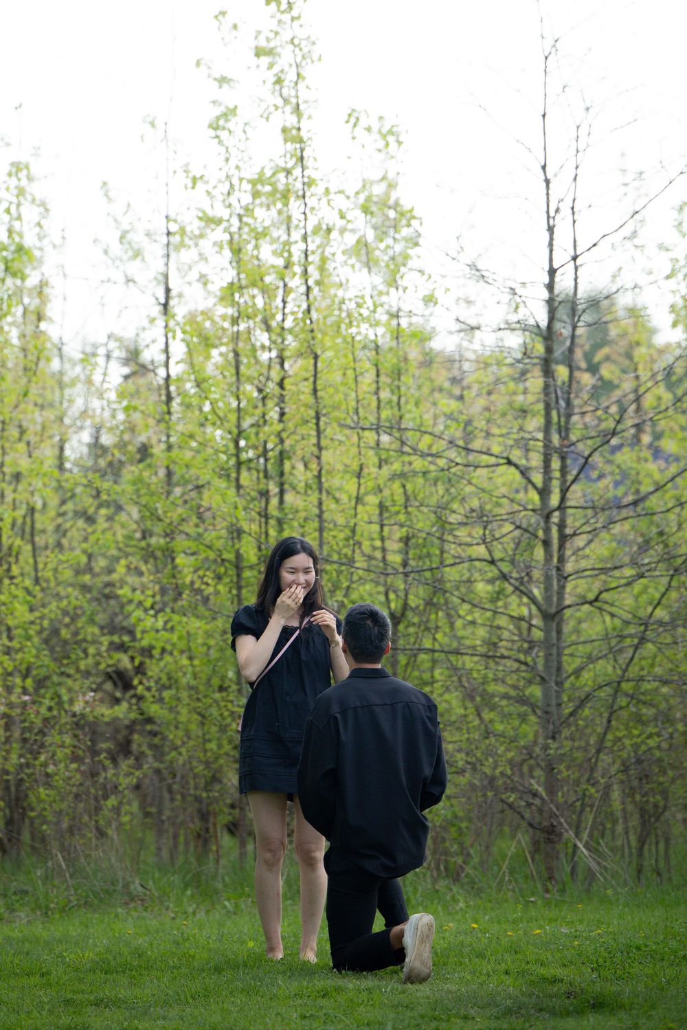 Man kneeling on one knee proposing to surprised woman in black dress outdoors among green spring trees.