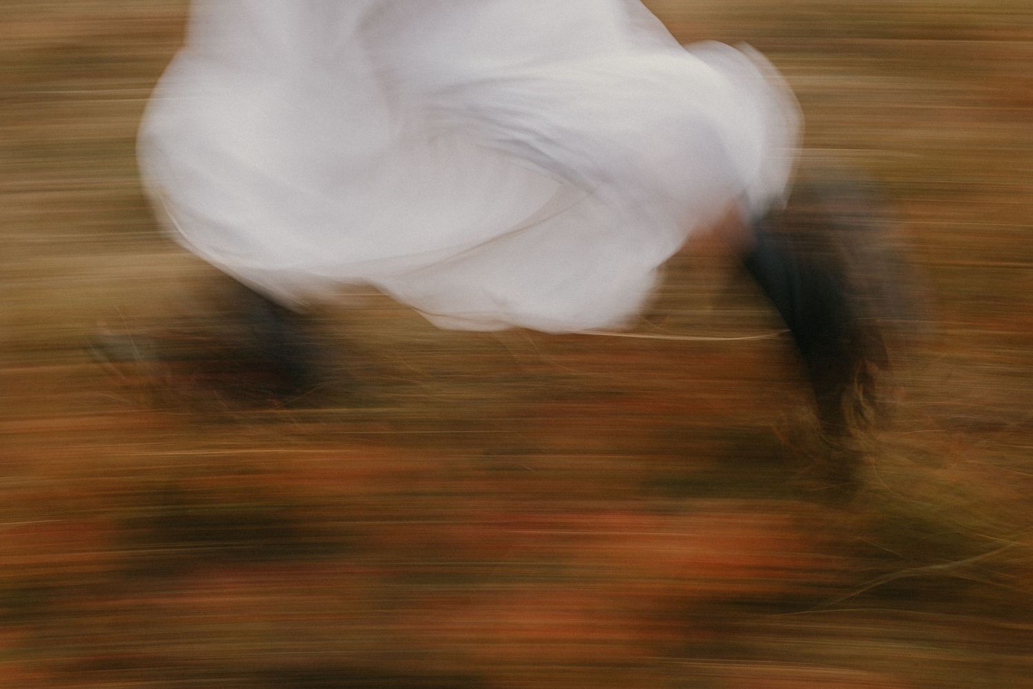 Blurred motion photo of a white bird in flight over autumn foliage in warm brown and orange tones.