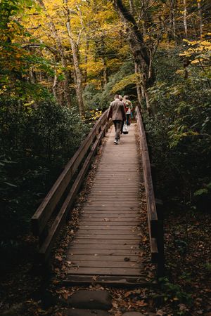 Two people walk across a wooden bridge surrounded by colorful autumn foliage in a lush forest.