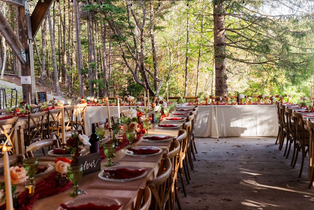 Long rustic wedding reception tables with wooden chairs, floral centerpieces and place settings in a sunlit forest of tall trees.