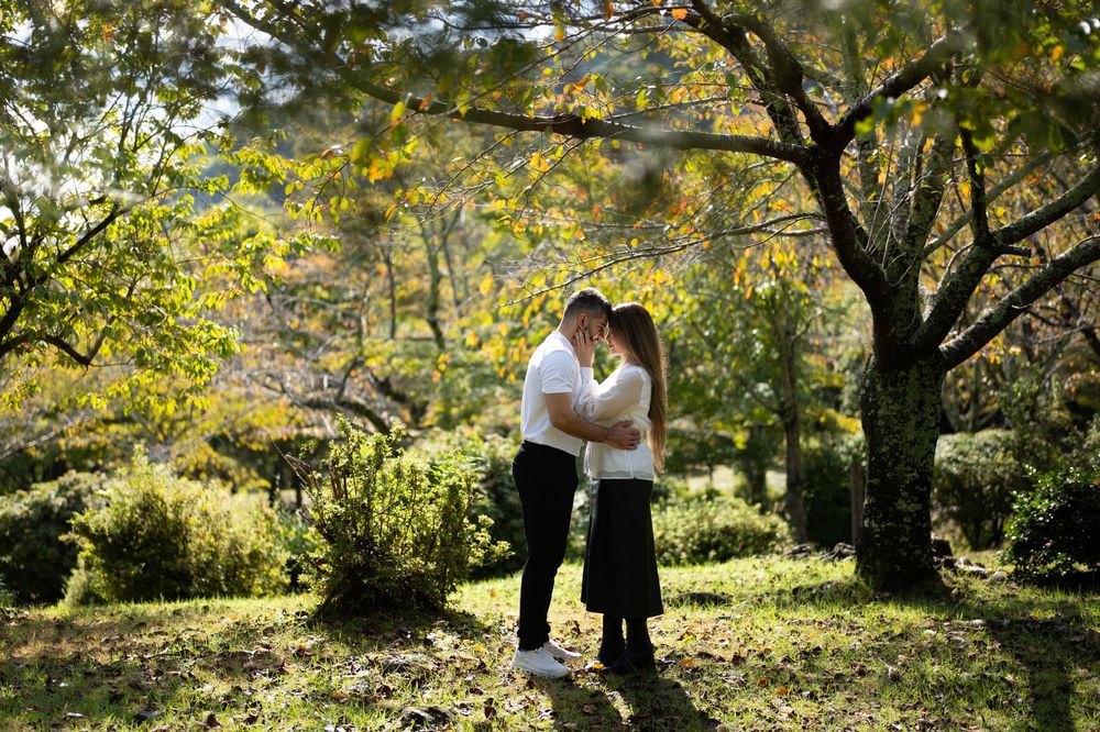 Couple in white shirts embracing in a sunlit park surrounded by green trees and autumn foliage during an outdoor engagement photo session.