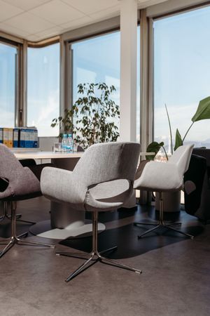 Modern office meeting area with gray upholstered swivel chairs around a table, large windows, and indoor plants.