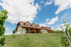 A charming countryside house with red roof surrounded by lush green vineyards under a bright blue sky.