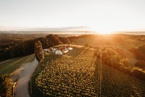 Aerial view of a vineyard and farmhouse bathed in golden sunset light, surrounded by lush green hills.