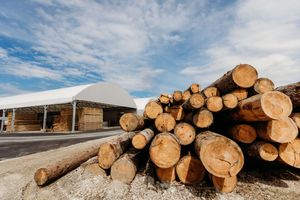 A large pile of freshly cut timber logs stacked outdoors near a sawmill facility under a partly cloudy sky.