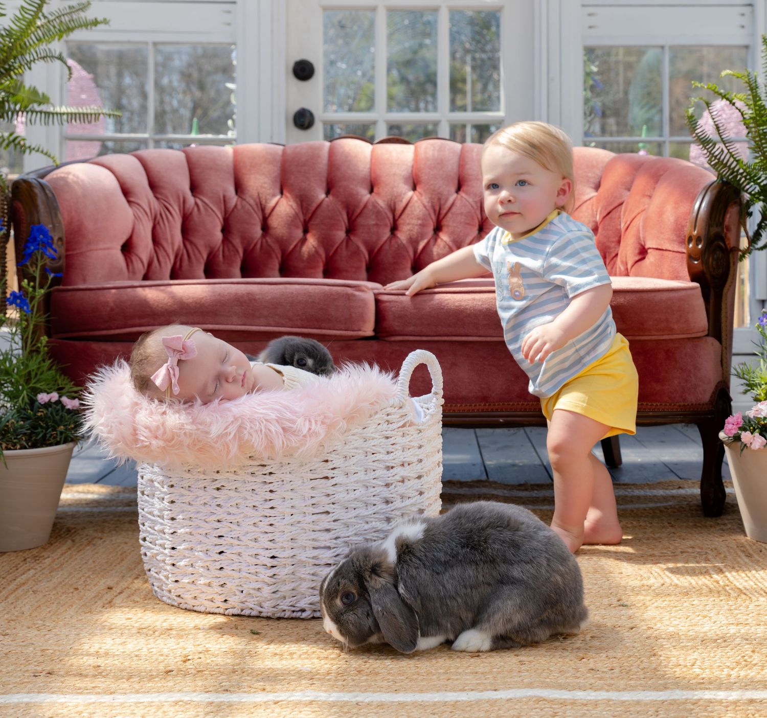 newborn photographer, Calhoun GA, A toddler stands beside a wicker basket holding a newborn baby surrounded by fluffy bunnies indoors.
