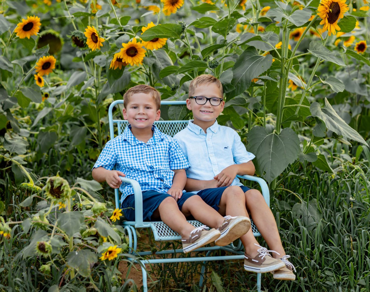 Two young boys sitting together on a vintage chair surrounded by blooming sunflowers in a sunny field.