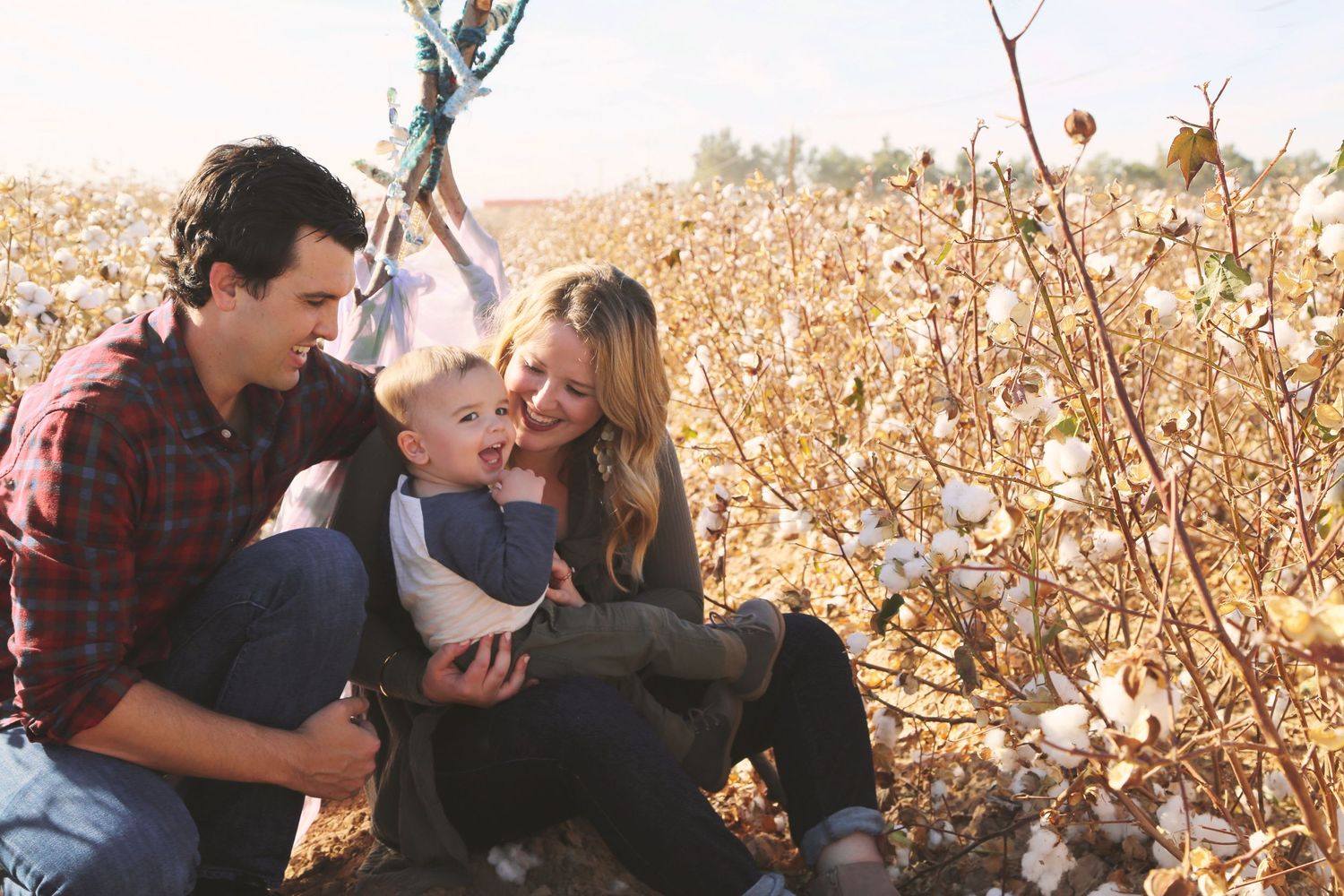 Smiling parents hold their toddler son while sitting among cotton plants in a sunlit field during a family photo session.