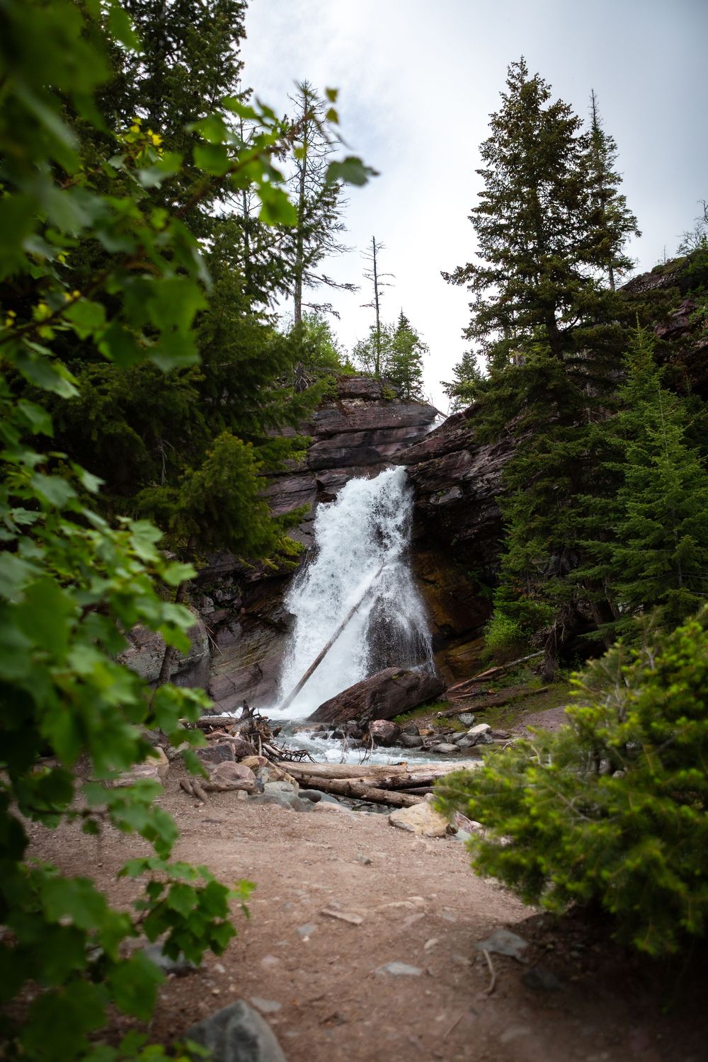 A cascading waterfall flows over rocky cliffs surrounded by lush evergreen trees along a forest hiking trail.