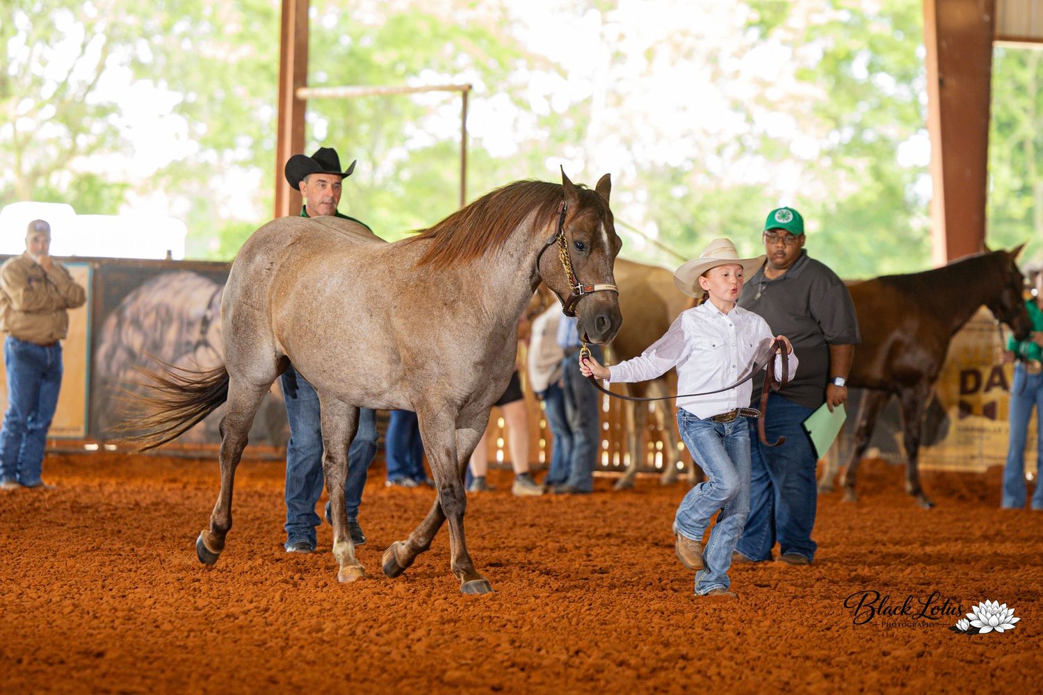 A handler leads a gray horse in a Western show arena with red dirt footing, while spectators watch in the background.