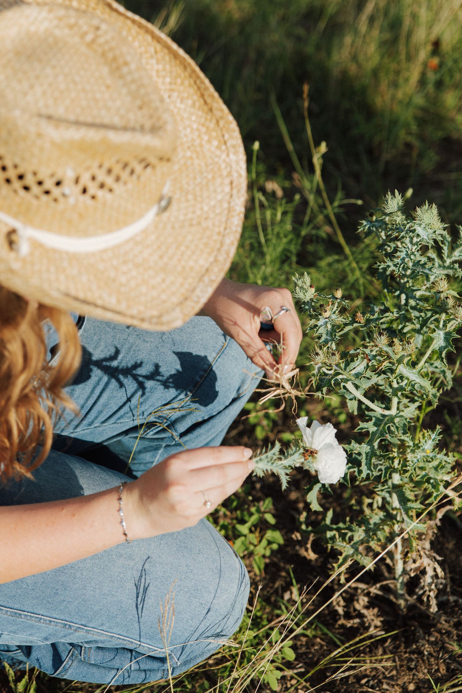 Young woman in straw hat and denim crouches in field examining white wildflowers in golden sunlight.