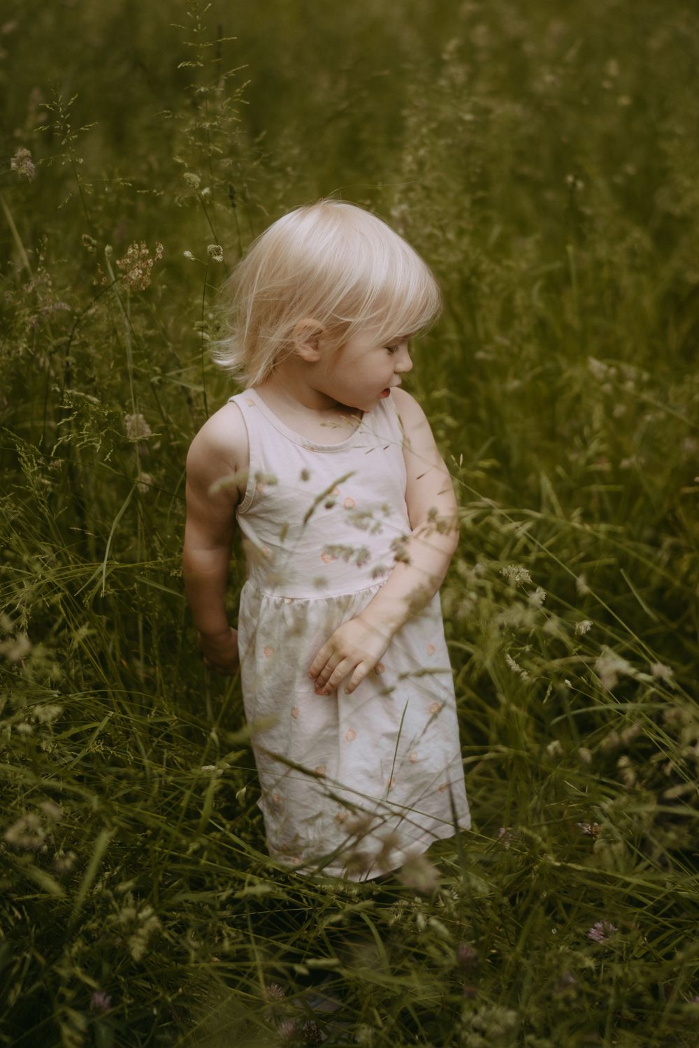 A blonde toddler girl in a white floral dress stands among tall green wildflower meadow grass.